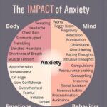 Anxiety Disorders: A Psychology Student’s Guide to Understanding a Complex Condition Anxiety Disorders