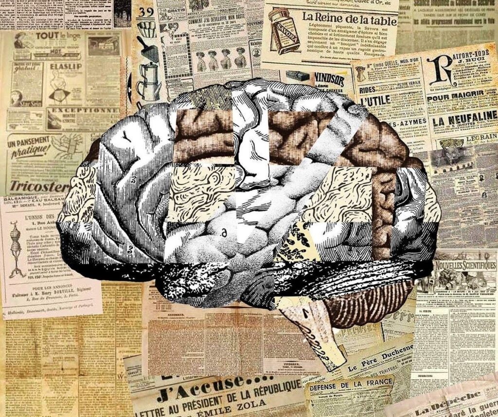 Social participation and adaptive behavior in Intellectual Disability