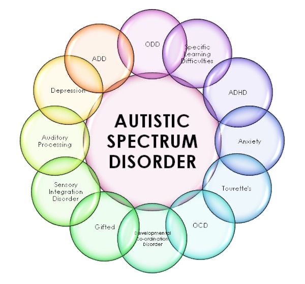 Sensory processing differences in autism spectrum disorder